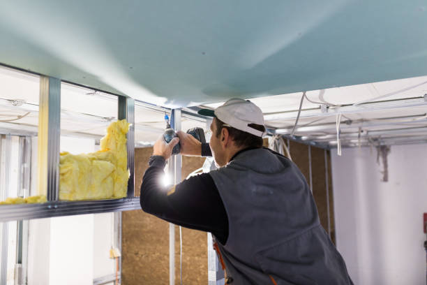 Best Residential Insulation Services  in Athens, WV