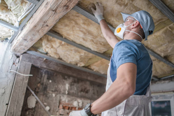 Best Affordable Insulation Services  in Athens, WV