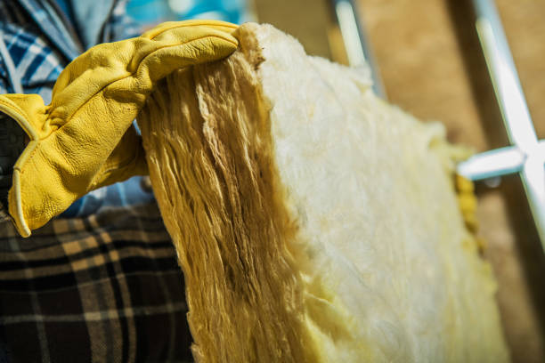 Best Insulation Removal  in Athens, WV