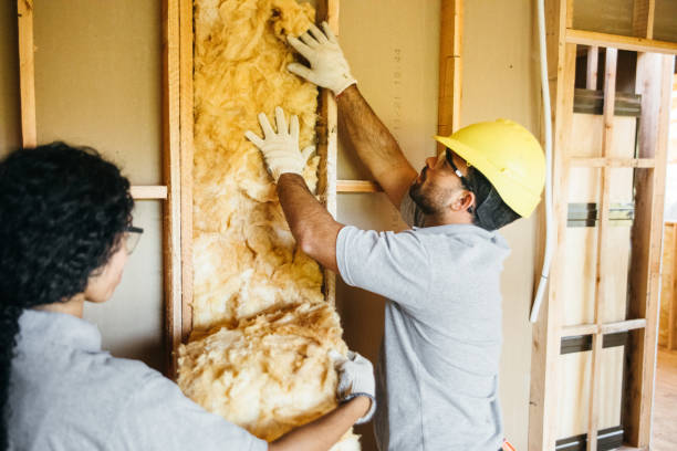 Best Home Insulation Services  in Athens, WV