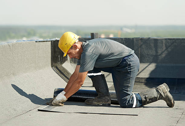 Best Local Insulation Services  in Athens, WV